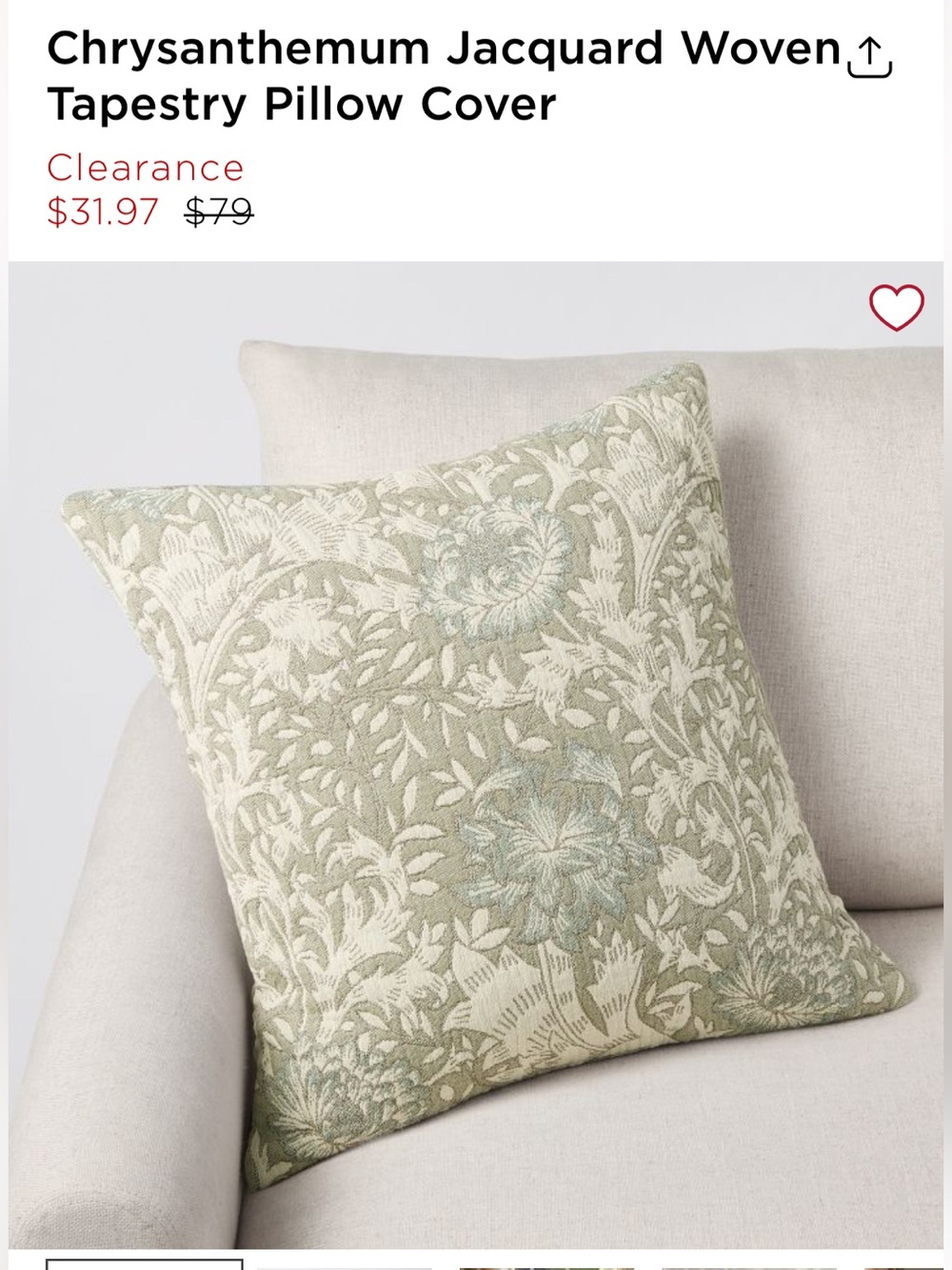 Pair of Rejuvenation Pillow Covers 20”x20”